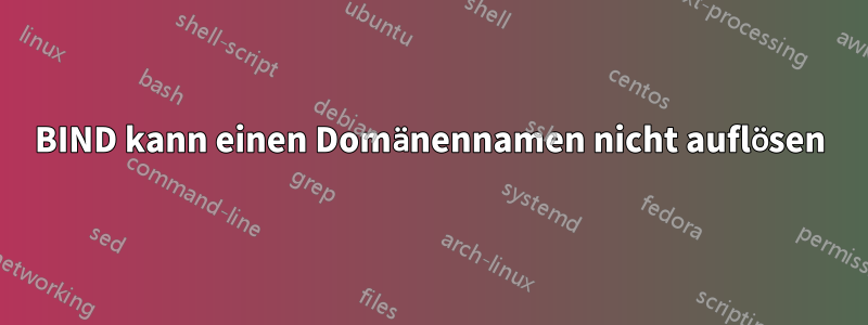 BIND kann einen Domänennamen nicht auflösen