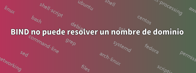 BIND no puede resolver un nombre de dominio