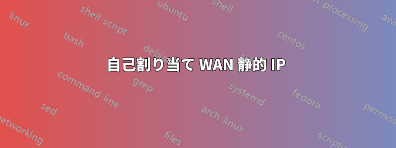 自己割り当て WAN 静的 IP