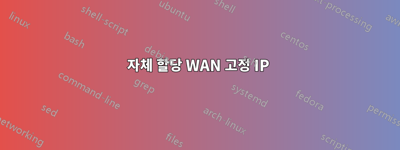 자체 할당 WAN 고정 IP