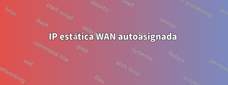 IP estática WAN autoasignada