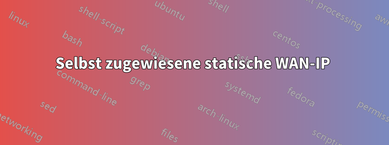 Selbst zugewiesene statische WAN-IP