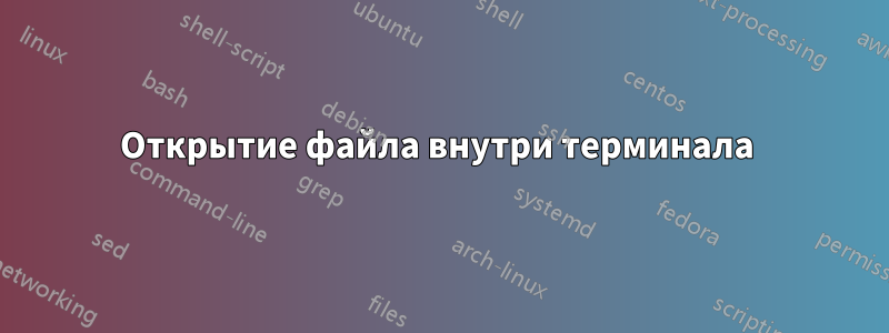 Открытие файла внутри терминала 