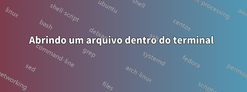 Abrindo um arquivo dentro do terminal 