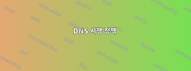 DNS 시행 정책