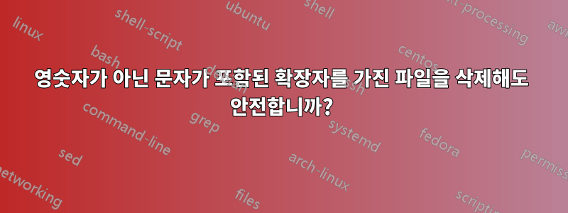 영숫자가 아닌 문자가 포함된 확장자를 가진 파일을 삭제해도 안전합니까?