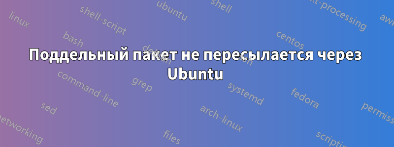 Поддельный пакет не пересылается через Ubuntu