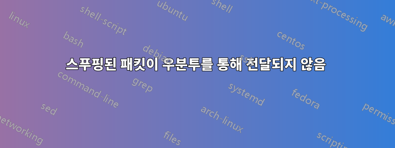 스푸핑된 패킷이 우분투를 통해 전달되지 않음