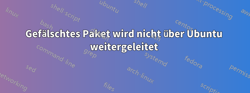 Gefälschtes Paket wird nicht über Ubuntu weitergeleitet