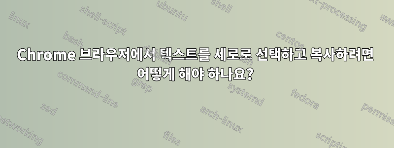 Chrome 브라우저에서 텍스트를 세로로 선택하고 복사하려면 어떻게 해야 하나요?