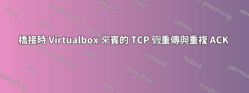 橋接時 Virtualbox 來賓的 TCP 假重傳與重複 ACK