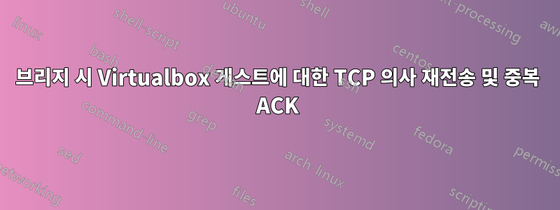 브리지 시 Virtualbox 게스트에 대한 TCP 의사 재전송 및 중복 ACK