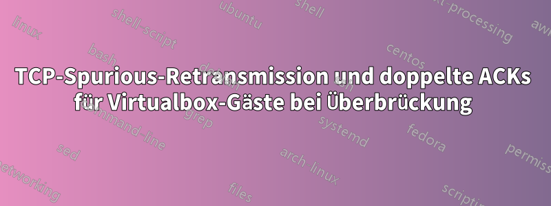 TCP-Spurious-Retransmission und doppelte ACKs für Virtualbox-Gäste bei Überbrückung