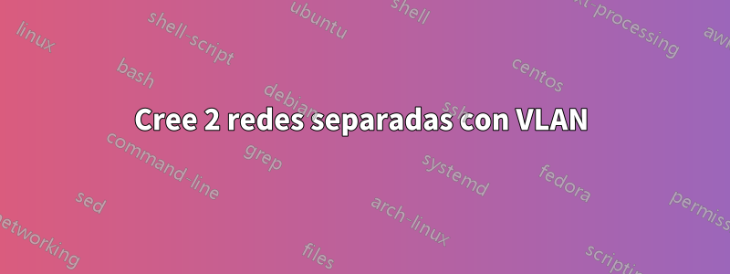 Cree 2 redes separadas con VLAN