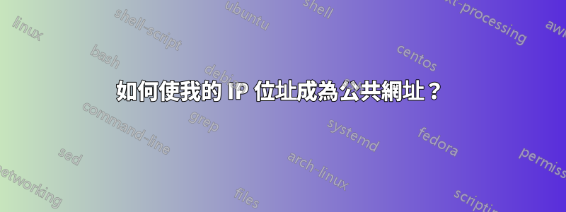 如何使我的 IP 位址成為公共網址？