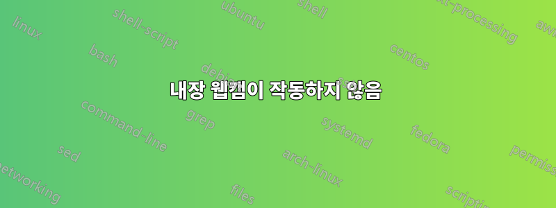 내장 웹캠이 작동하지 않음