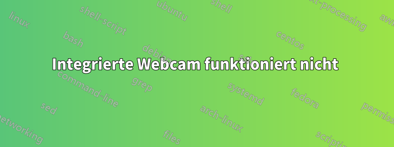 Integrierte Webcam funktioniert nicht