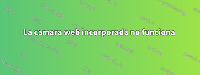 La cámara web incorporada no funciona