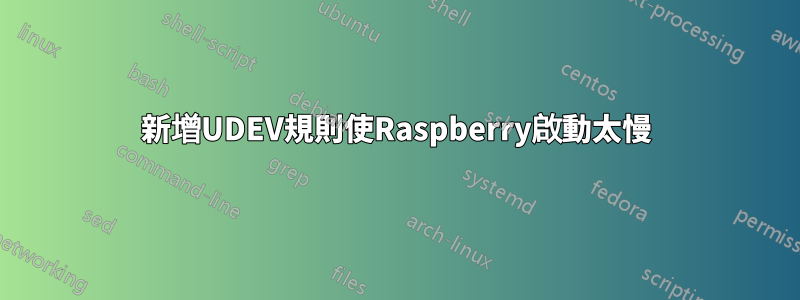 新增UDEV規則使Raspberry啟動太慢