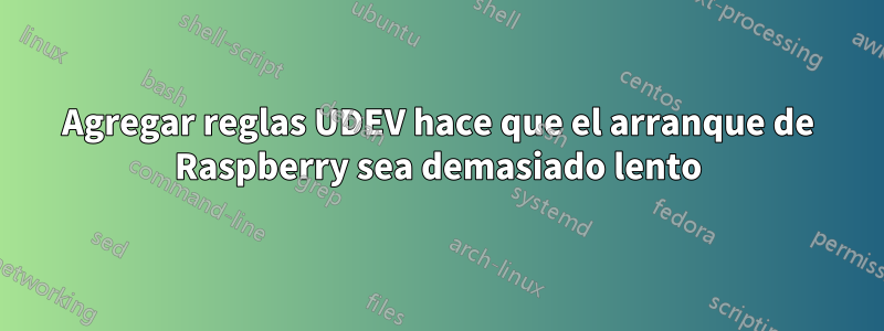 Agregar reglas UDEV hace que el arranque de Raspberry sea demasiado lento