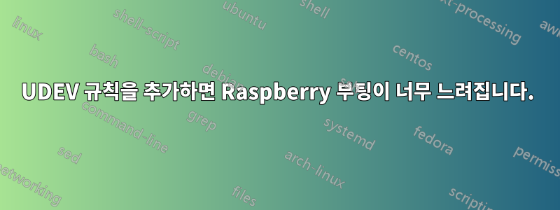 UDEV 규칙을 추가하면 Raspberry 부팅이 너무 느려집니다.