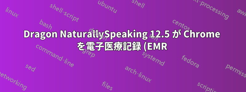 Dragon NaturallySpeaking 12.5 が Chrome を電子医療記録 (EMR) プログラムであると認識するのはなぜですか?