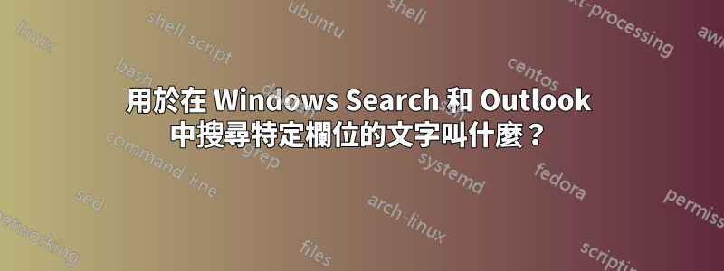 用於在 Windows Search 和 Outlook 中搜尋特定欄位的文字叫什麼？