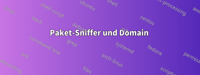 Paket-Sniffer und Domain