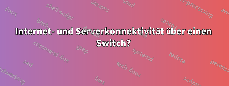 Internet- und Serverkonnektivität über einen Switch?