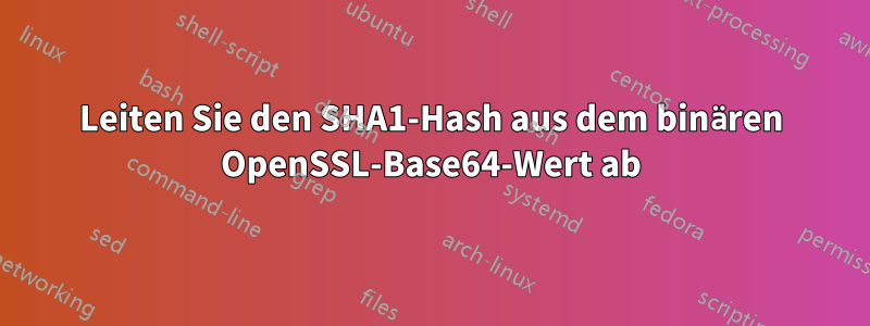 Leiten Sie den SHA1-Hash aus dem binären OpenSSL-Base64-Wert ab