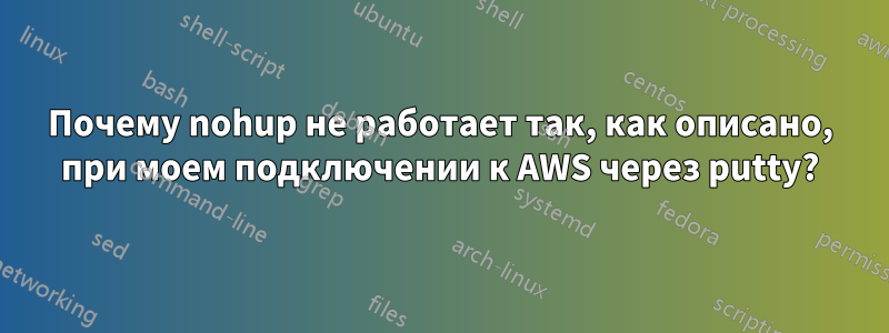 Почему nohup не работает так, как описано, при моем подключении к AWS через putty?