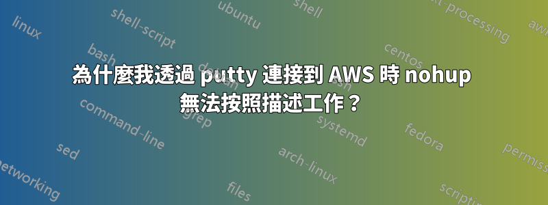 為什麼我透過 putty 連接到 AWS 時 nohup 無法按照描述工作？