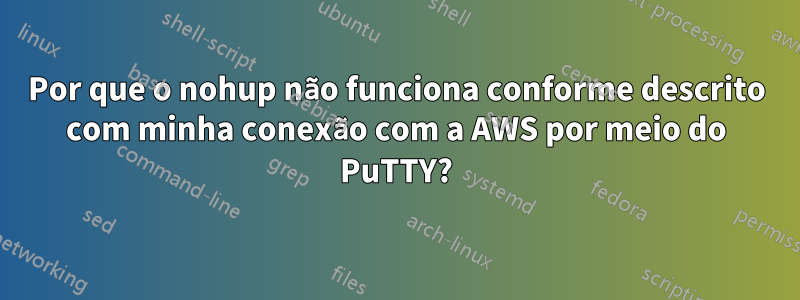 Por que o nohup não funciona conforme descrito com minha conexão com a AWS por meio do PuTTY?