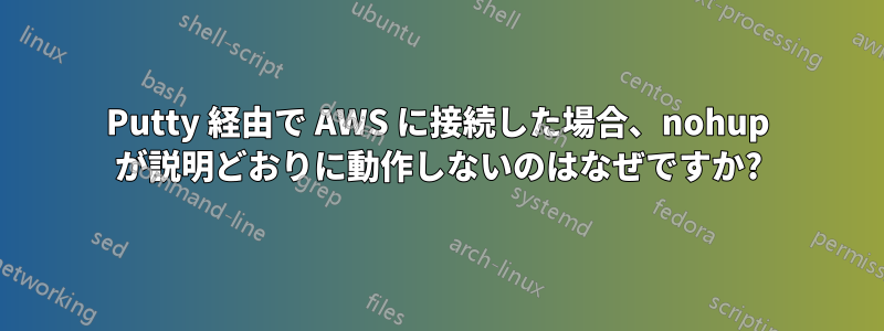 Putty 経由で AWS に接続した場合、nohup が説明どおりに動作しないのはなぜですか?