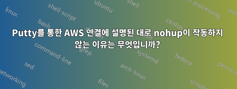 Putty를 통한 AWS 연결에 설명된 대로 nohup이 작동하지 않는 이유는 무엇입니까?