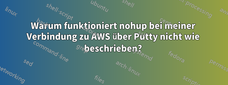 Warum funktioniert nohup bei meiner Verbindung zu AWS über Putty nicht wie beschrieben?