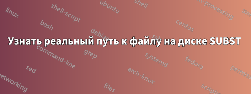 Узнать реальный путь к файлу на диске SUBST