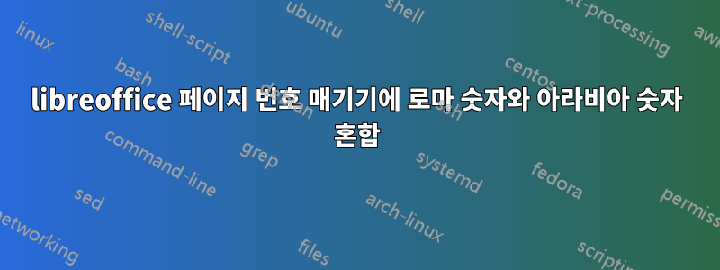 libreoffice 페이지 번호 매기기에 로마 숫자와 아라비아 숫자 혼합