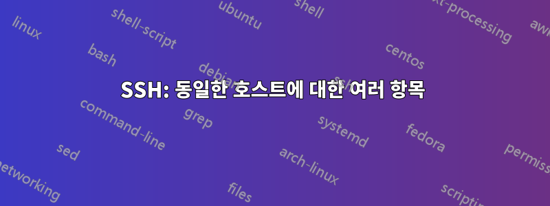 SSH: 동일한 호스트에 대한 여러 항목