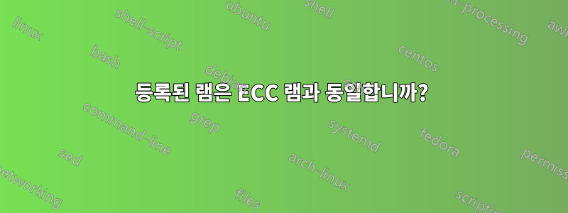 등록된 램은 ECC 램과 동일합니까?