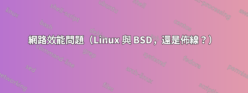 網路效能問題（Linux 與 BSD，還是佈線？）