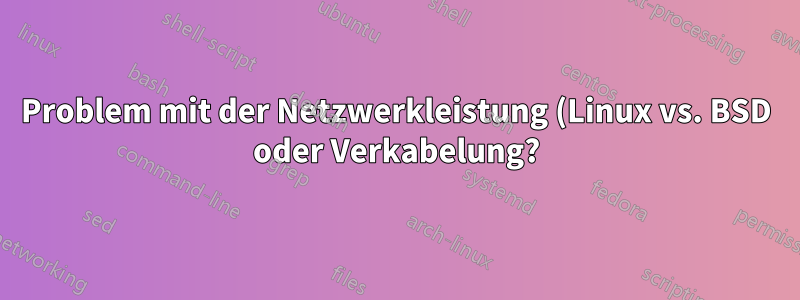 Problem mit der Netzwerkleistung (Linux vs. BSD oder Verkabelung?)