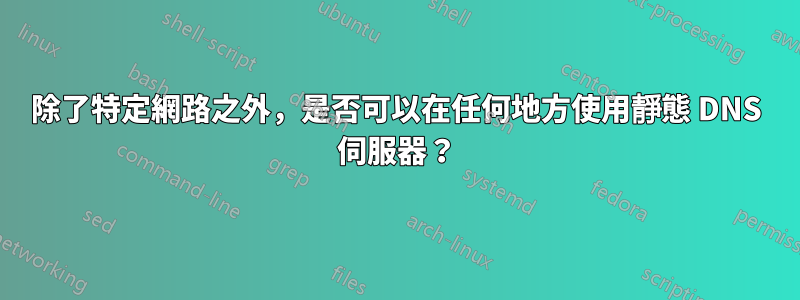 除了特定網路之外，是否可以在任何地方使用靜態 DNS 伺服器？