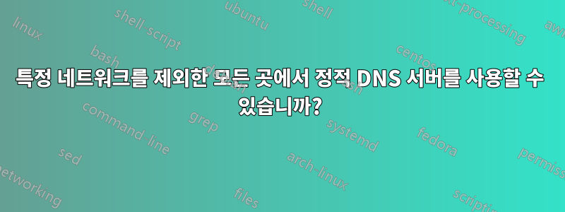 특정 네트워크를 제외한 모든 곳에서 정적 DNS 서버를 사용할 수 있습니까?