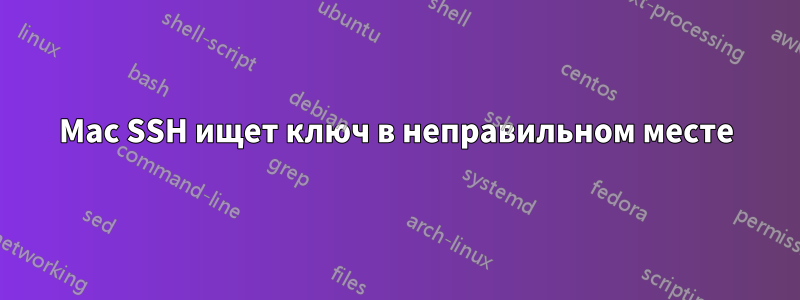 Mac SSH ищет ключ в неправильном месте