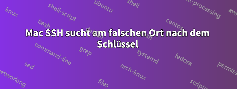 Mac SSH sucht am falschen Ort nach dem Schlüssel