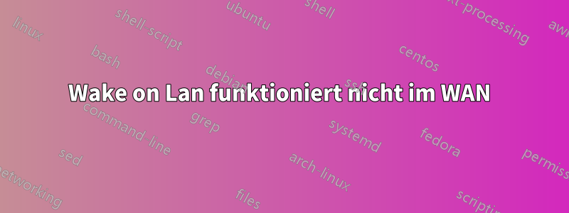 Wake on Lan funktioniert nicht im WAN 