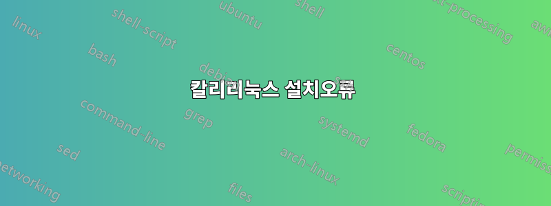 칼리리눅스 설치오류