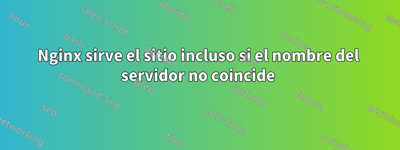 Nginx sirve el sitio incluso si el nombre del servidor no coincide