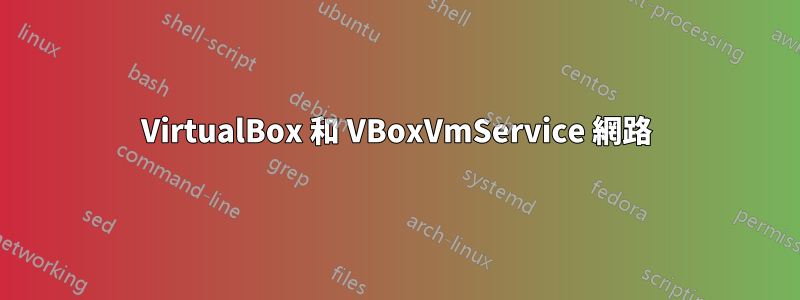 VirtualBox 和 VBoxVmService 網路